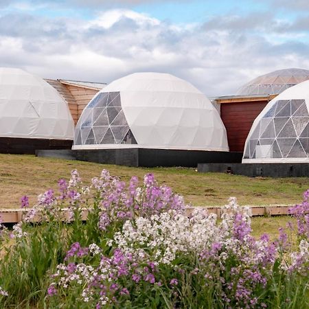 Willa Garden Domes Puerto Natales Zewnętrze zdjęcie