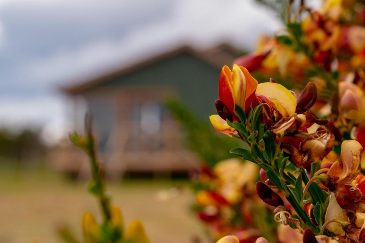 Willa Garden Domes Puerto Natales Zewnętrze zdjęcie