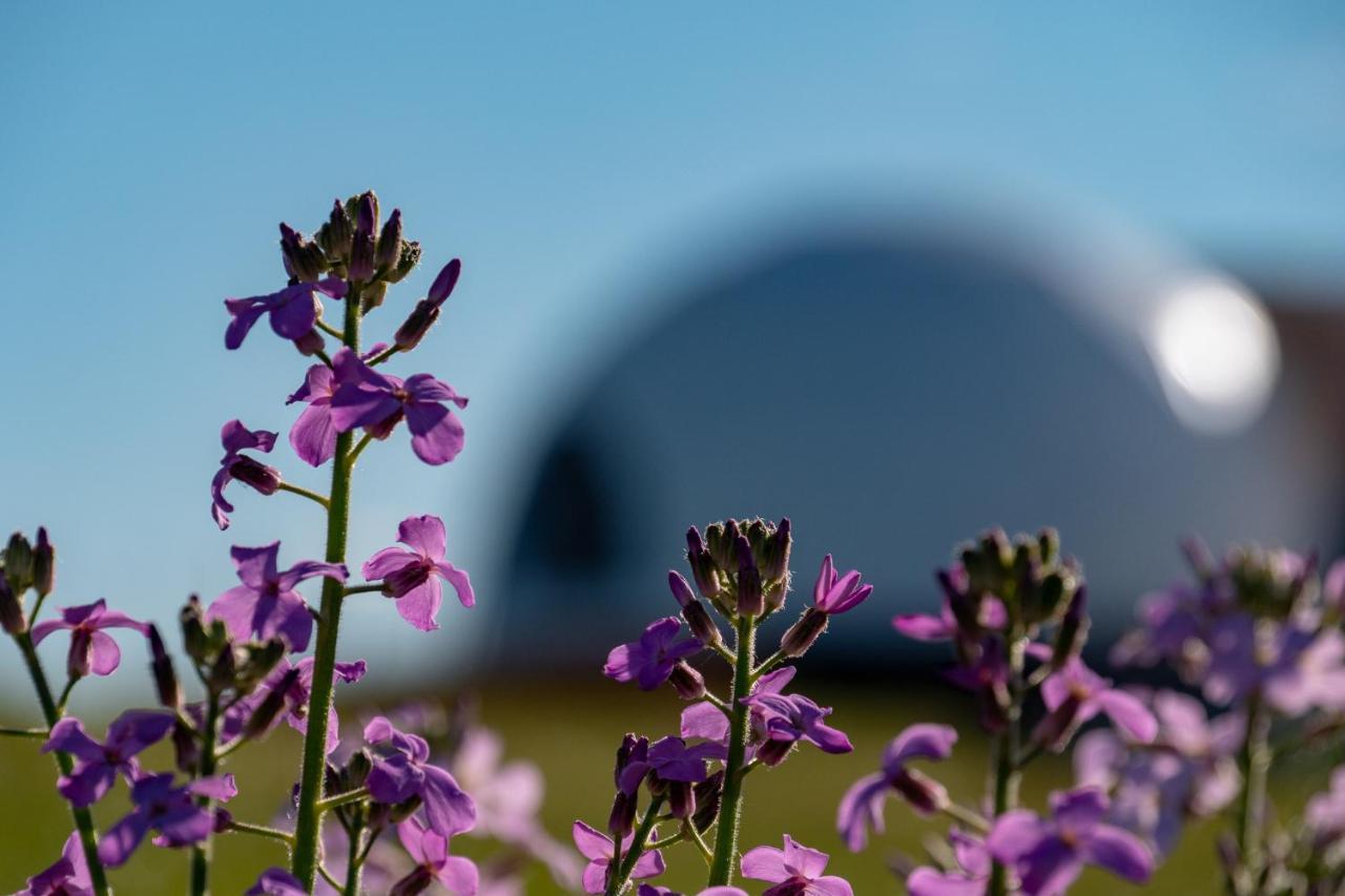 Willa Garden Domes Puerto Natales Zewnętrze zdjęcie