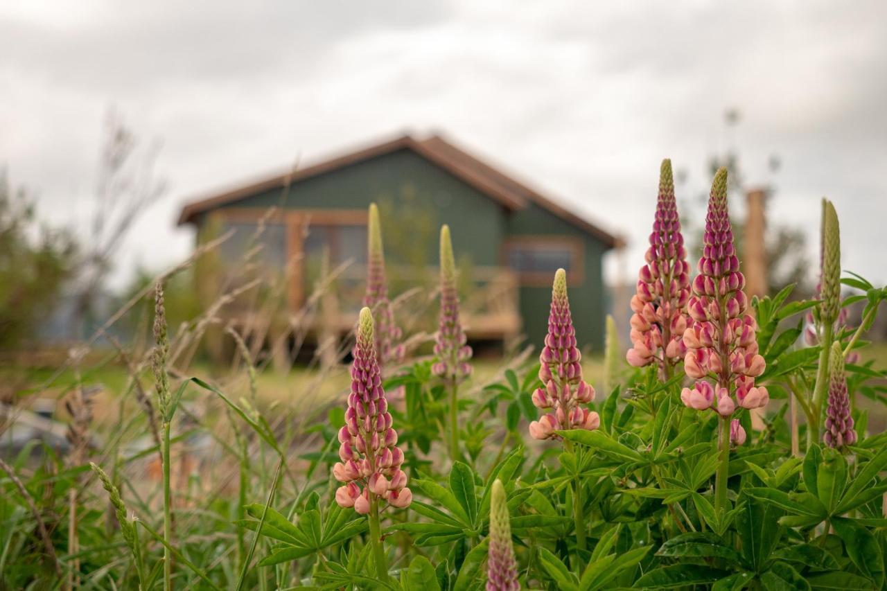 Willa Garden Domes Puerto Natales Zewnętrze zdjęcie