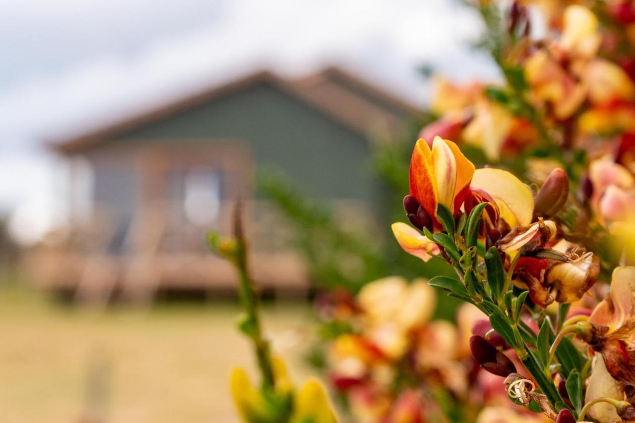 Willa Garden Domes Puerto Natales Zewnętrze zdjęcie