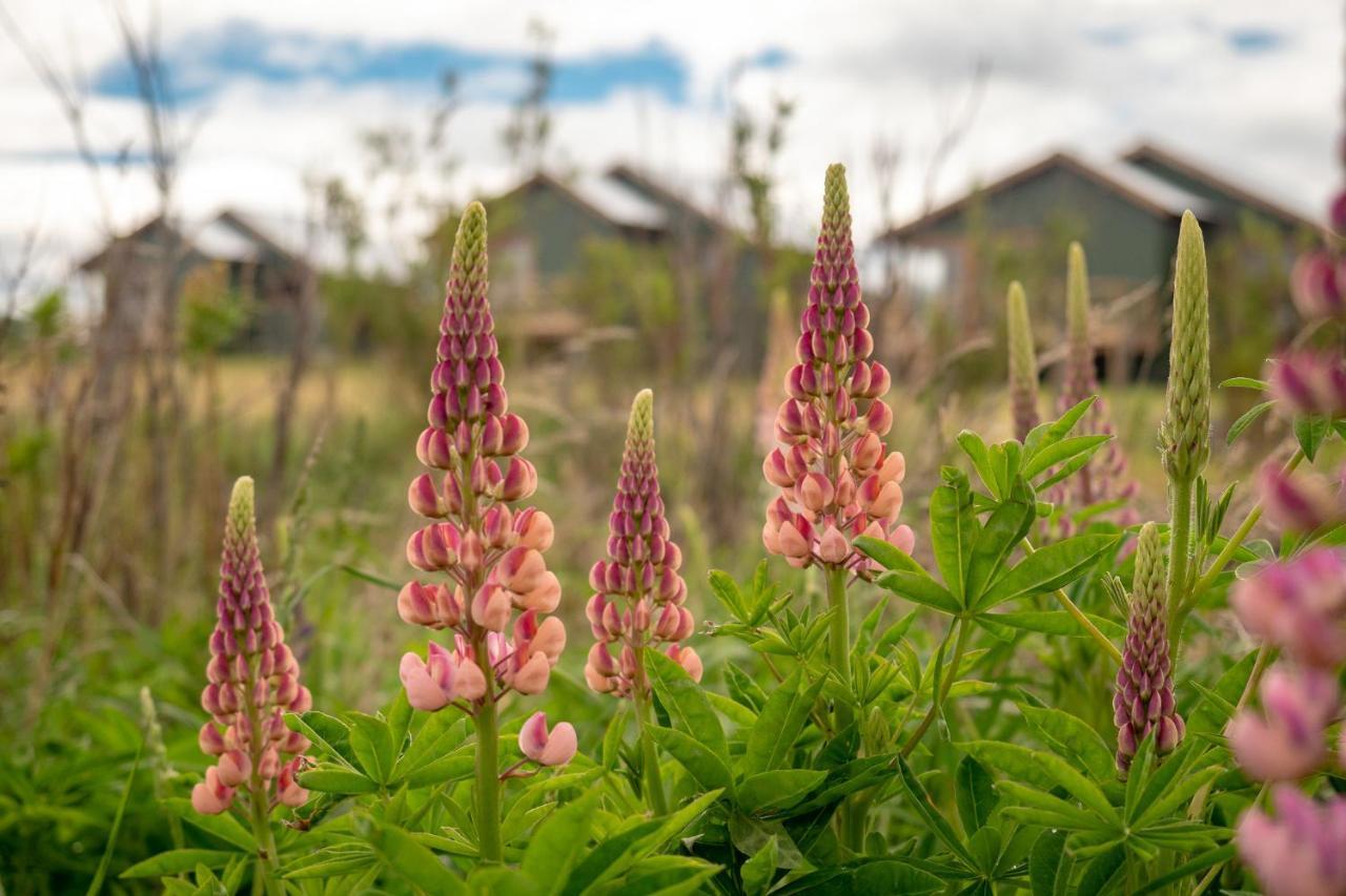 Willa Garden Domes Puerto Natales Zewnętrze zdjęcie