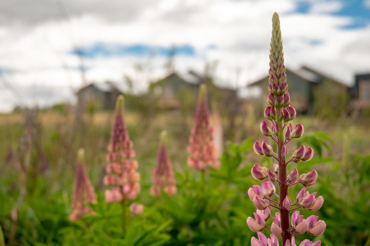 Willa Garden Domes Puerto Natales Zewnętrze zdjęcie