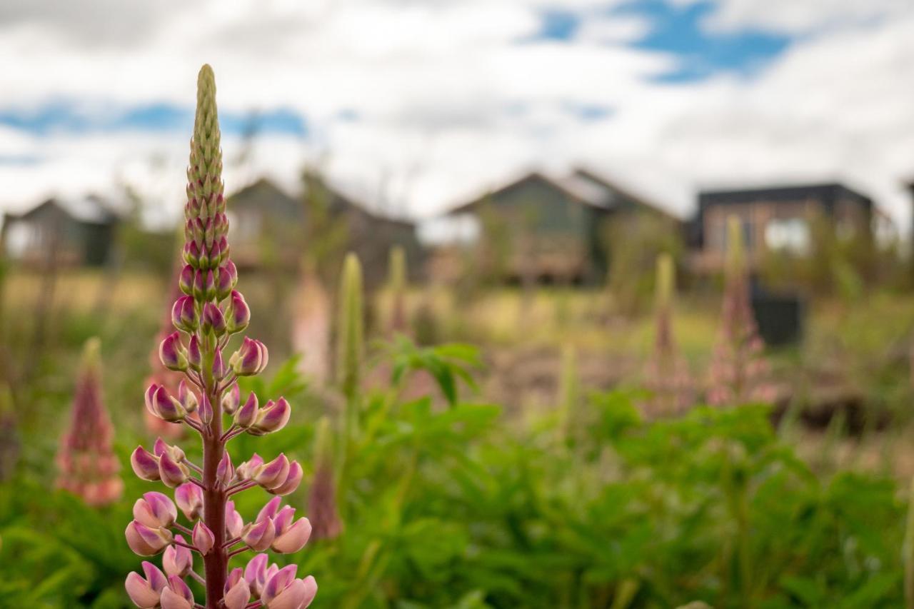 Willa Garden Domes Puerto Natales Zewnętrze zdjęcie