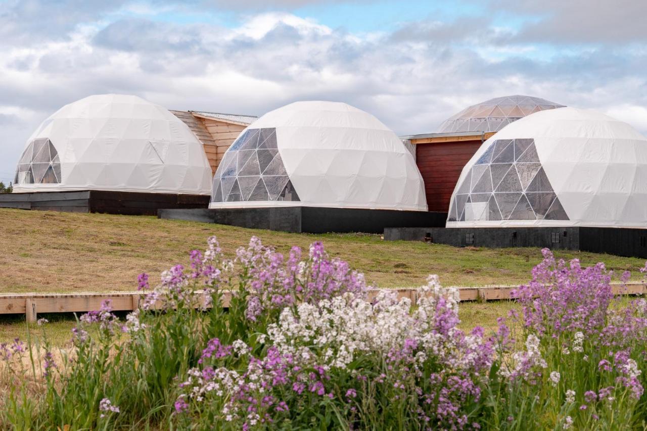 Willa Garden Domes Puerto Natales Zewnętrze zdjęcie