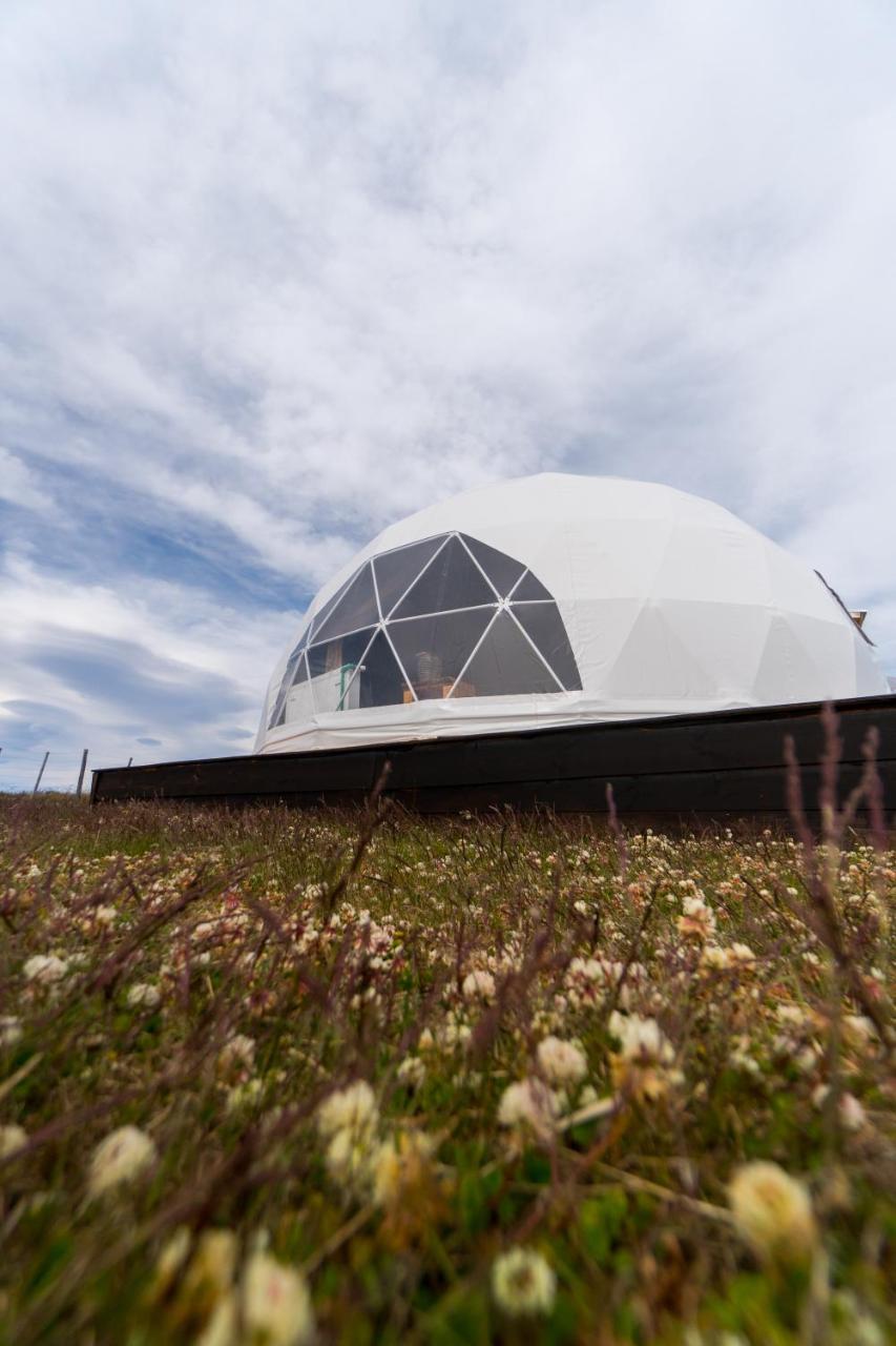 Willa Garden Domes Puerto Natales Zewnętrze zdjęcie